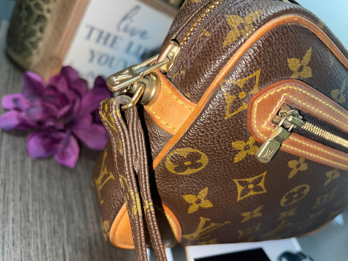 Louis Vuitton Marly Dragonne GM Pochette Monogramme