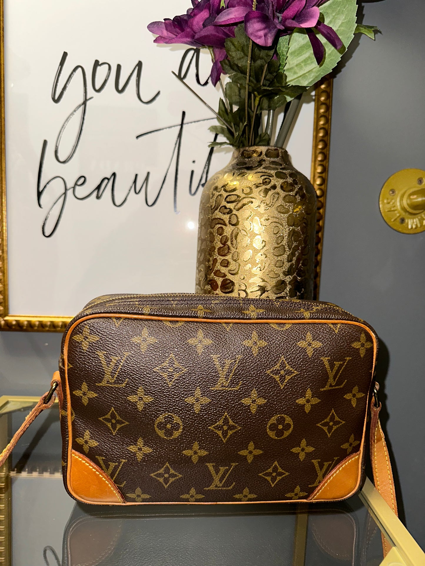 Louis Vuitton Sac à main Trocadero pré-aimé en toile monogramme 23